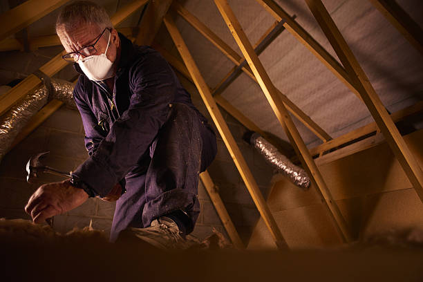 Best Insulation Maintenance and Repair in Merrydale, LA